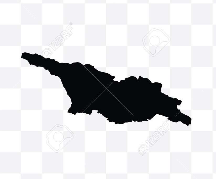 მიწოდება 1 NETPLUS.GE ჰიპერ მარკეტი